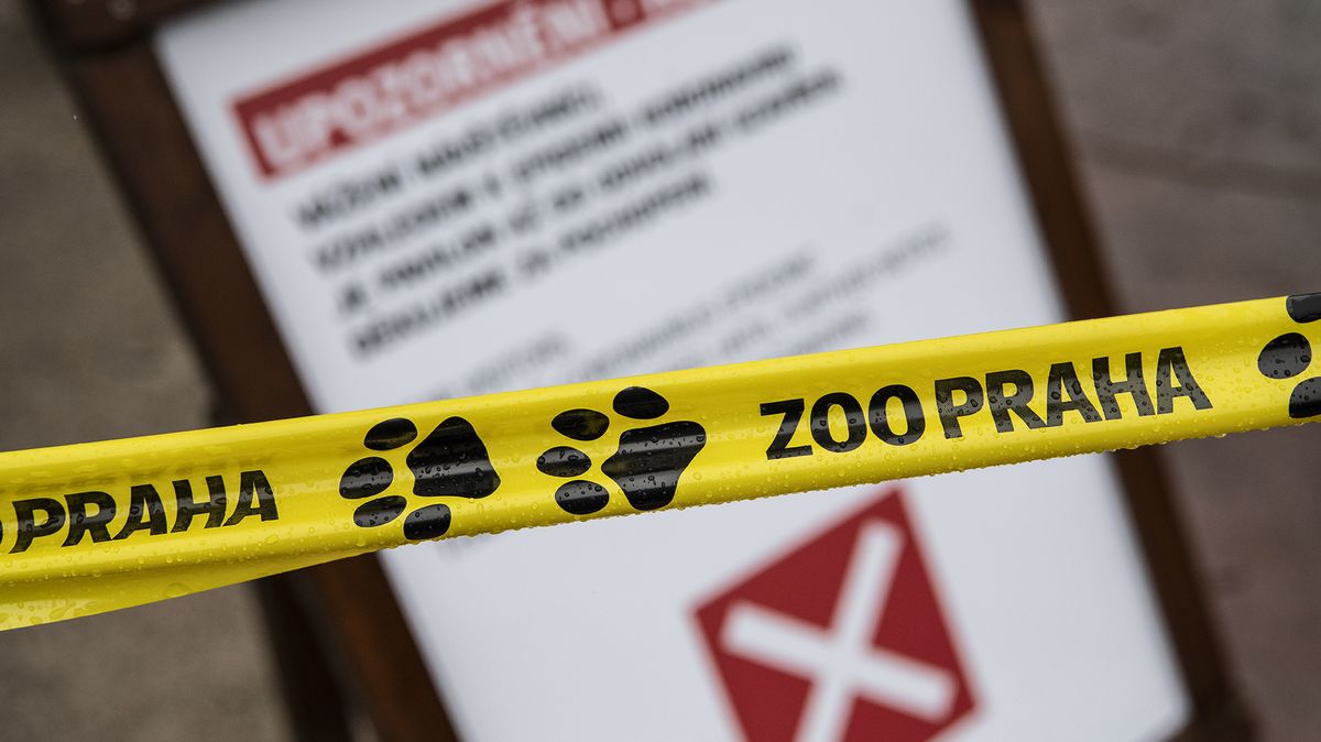 Pražskou zoo dočasně povede šéf magistrátního odboru ochrany prostředí